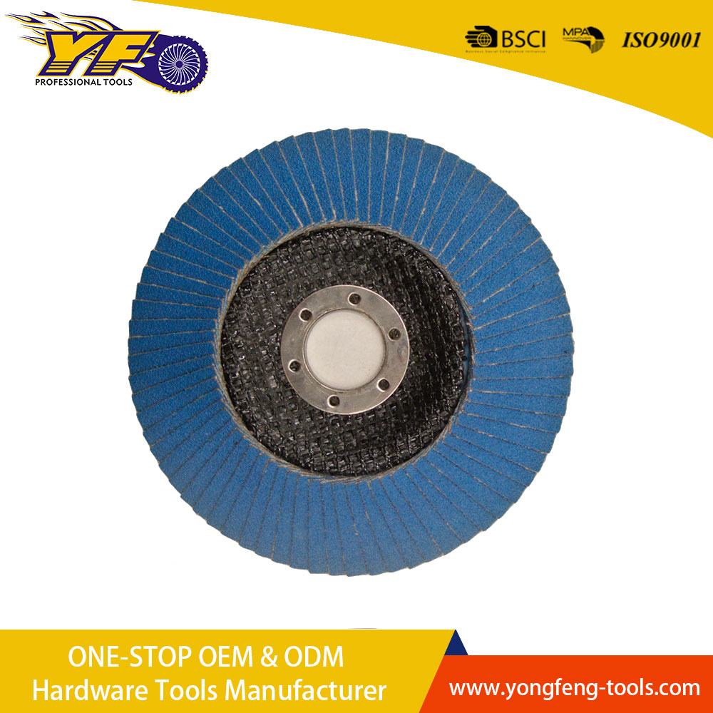 Flap disc